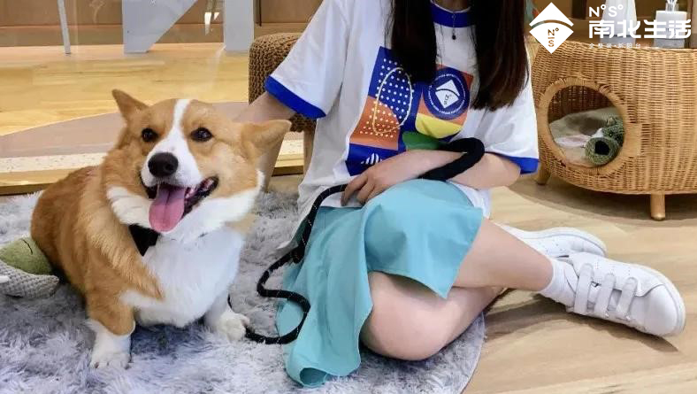 图片2.jpg 图片2.jpg